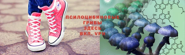дживик Алексеевка