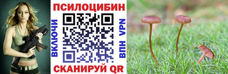 как найти закладки Десногорск Псилоцибиновые грибы Magic Shrooms