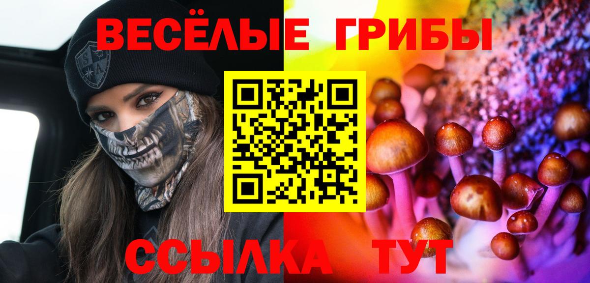 Псилоцибиновые грибы GOLDEN TEACHER  как найти   Десногорск  Вход с VPN 