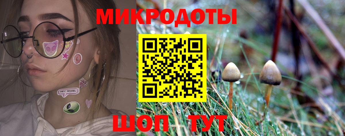 Псилоцибиновые грибы мицелий Десногорск